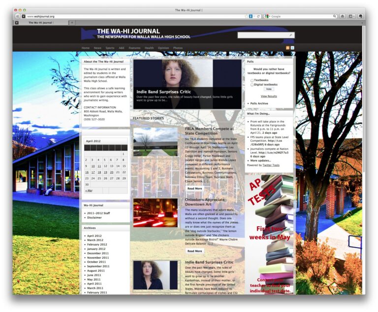 New Norm | User Generated Content (UGC)