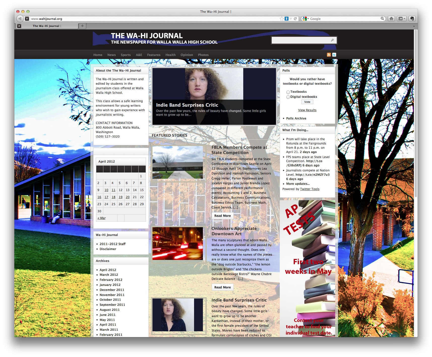 New Norm | User Generated Content (UGC)